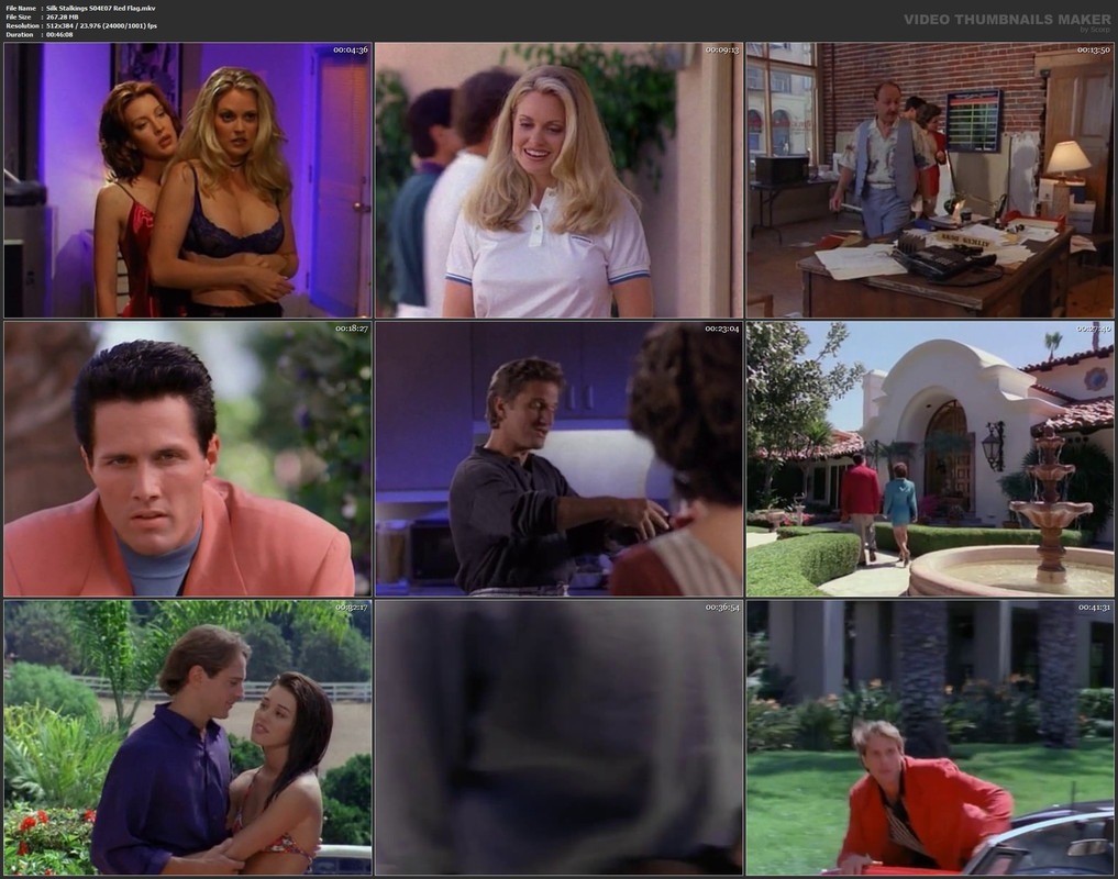 Silk Stalkings S04E07 Red Flag.mkv