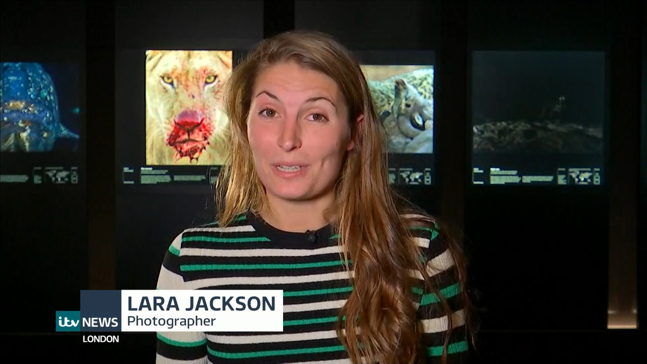 ITV News London_20211013_18001830.ts_snapshot_19.37.520