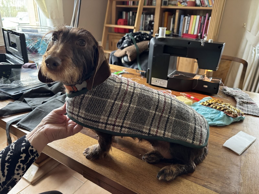 [Image: IMG-3325-1.jpg]