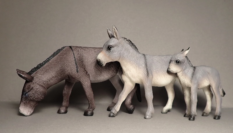Lovely donkeys from Mojo 2020 :D P6290053feet-Comp