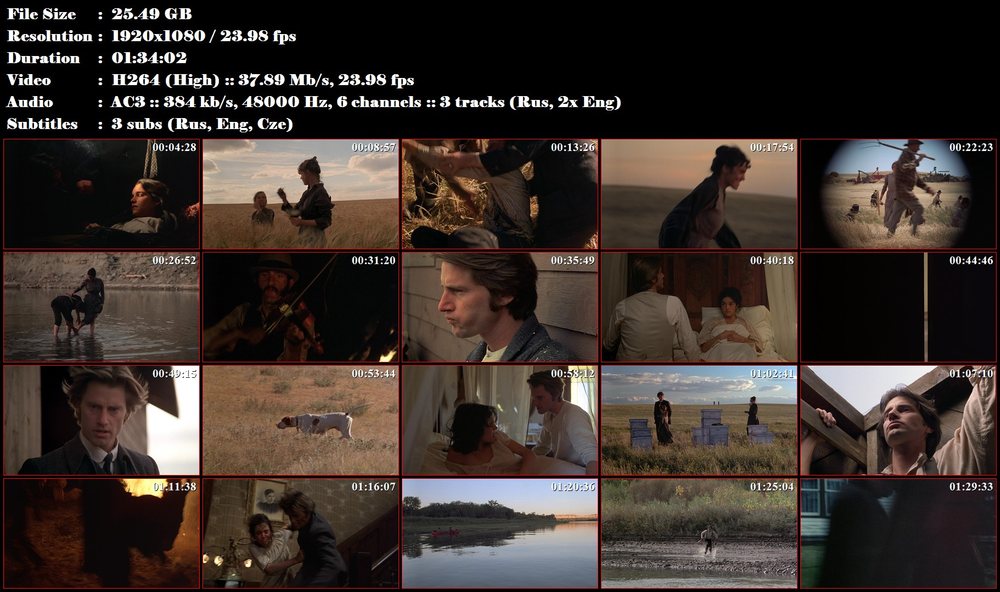 Days of Heaven / Nebeské dny (1978)