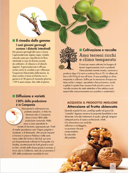 Alim Nat Mar 2016 (8)