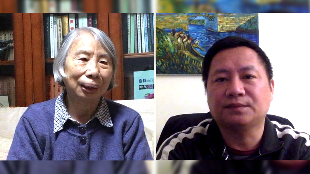 6169ED7A-5851-4031-90F7-E0384B568D3B