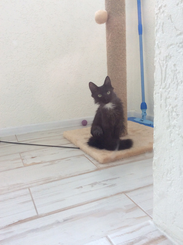 4043CDAD-7B60-42F3-87F6-859FBD61A65E