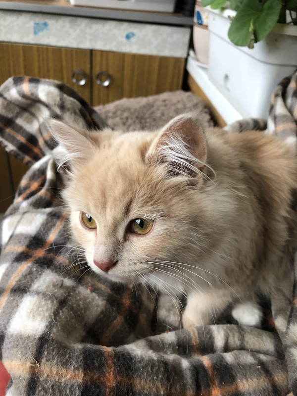 FF52F66D-87B0-4CC7-82F6-A082DF6E6231