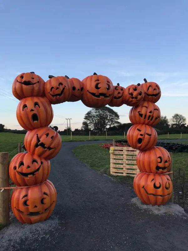 Pumpkins 0035