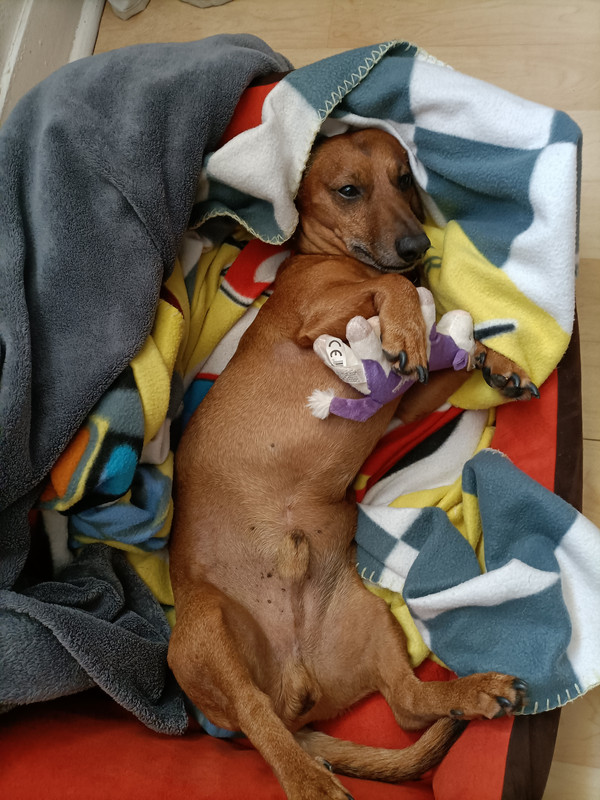 [Image: IMG20210817083321.jpg]