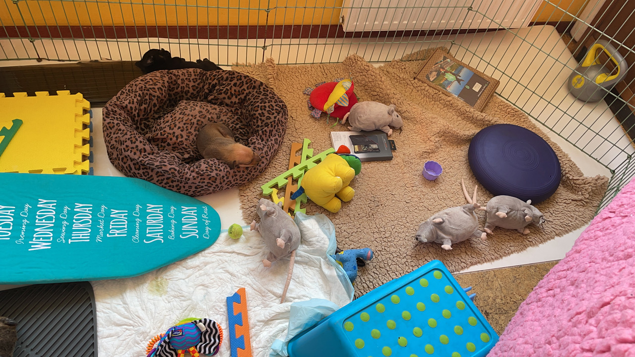 BE4EE856-71F1-4E5D-8D66-0E02DF7A016D