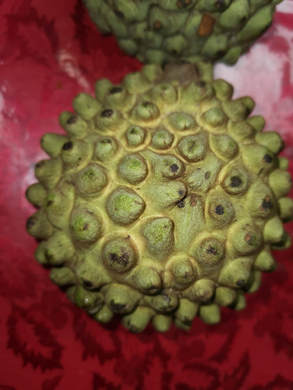 0FE62CF0-8491-431F-844D-0850CDD67963