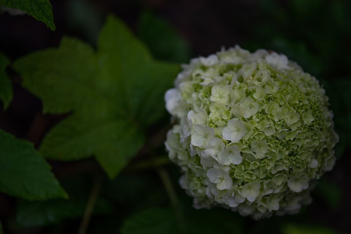 IMG-26a5f0d266a34cbf122f2a0692d58d13-V