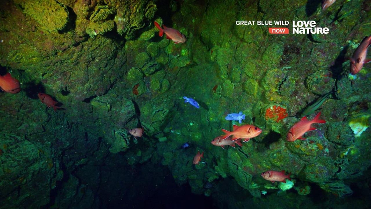 1_0_1_44F_238C_13E_820000_0_0_0_20191008215600