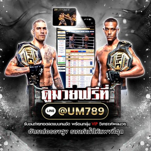 เว็บแทงบอล