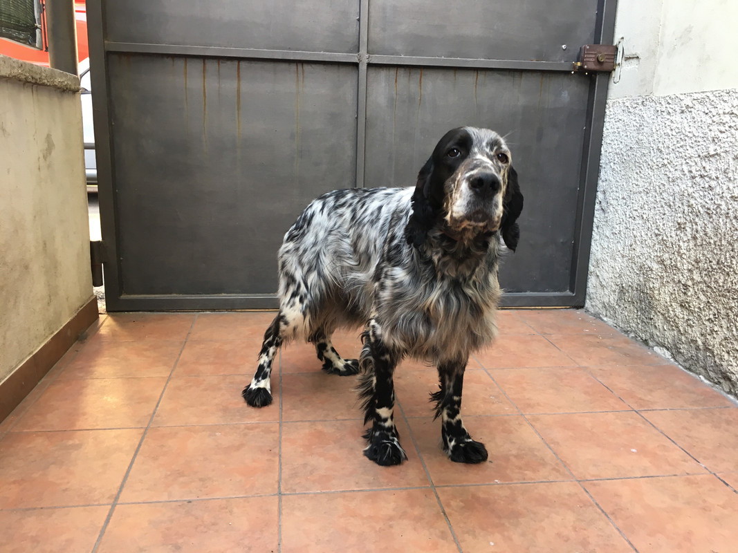 1FB22BB5-CD4E-4FBE-8561-1F074007AFCD