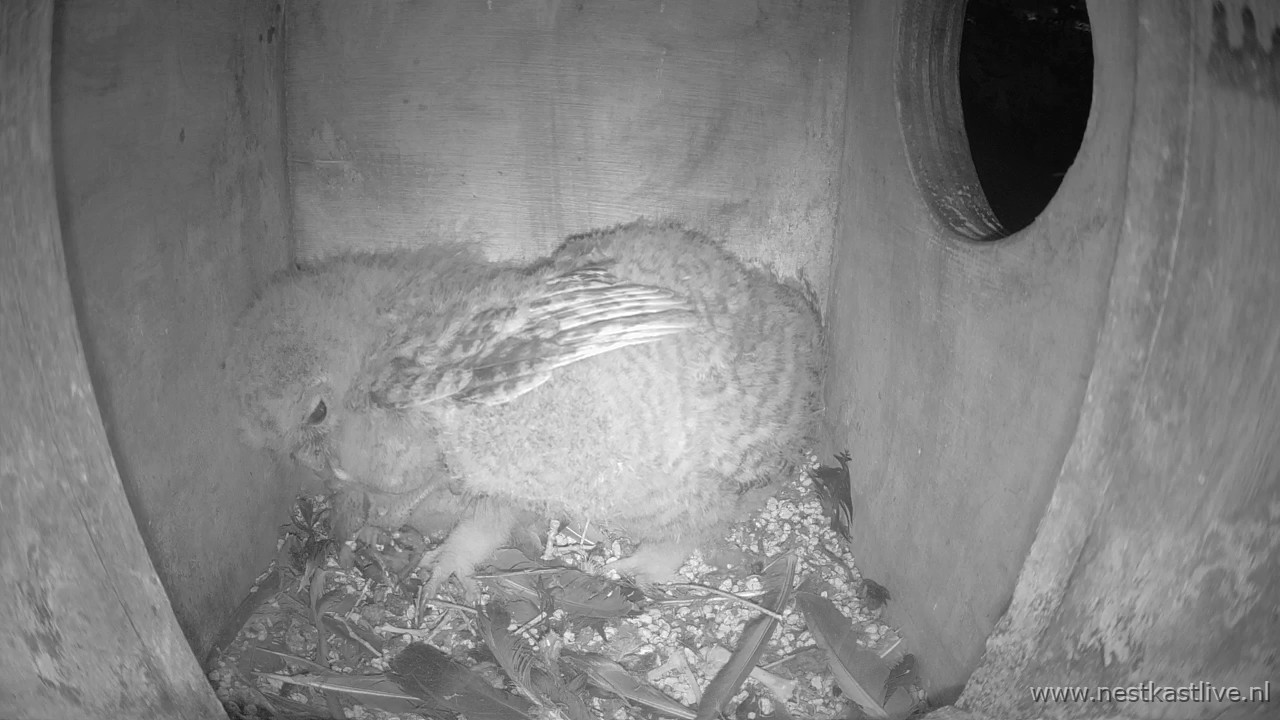 snapshot - 2025-05-08T050026.560