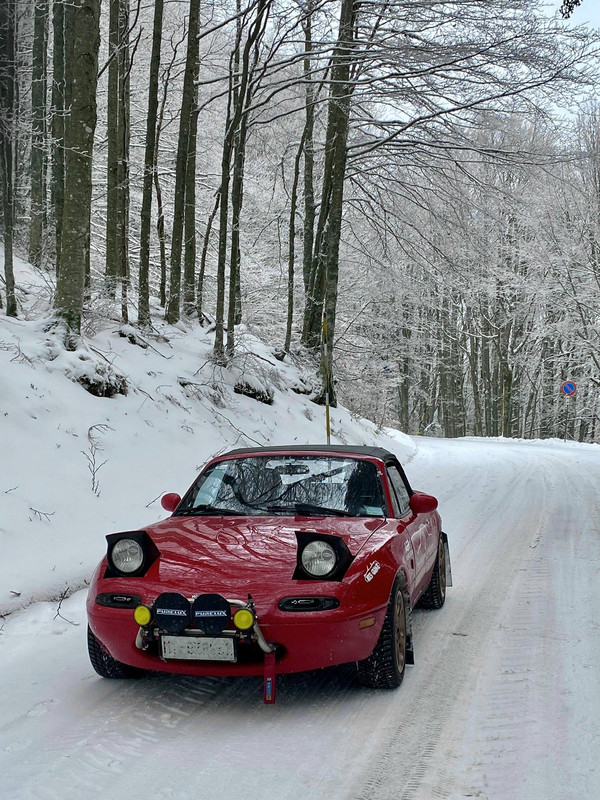 [Immagine: 6037361685074480309.jpg]