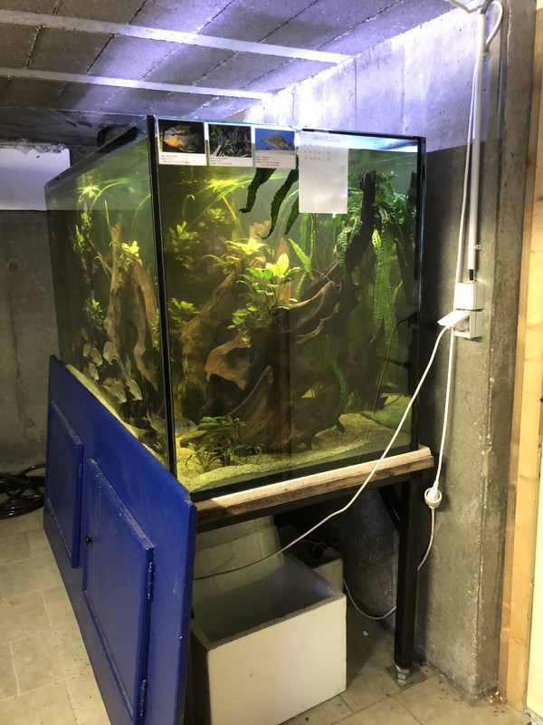 2106638A-1AF5-4777-AE18-A36E4FD48D36