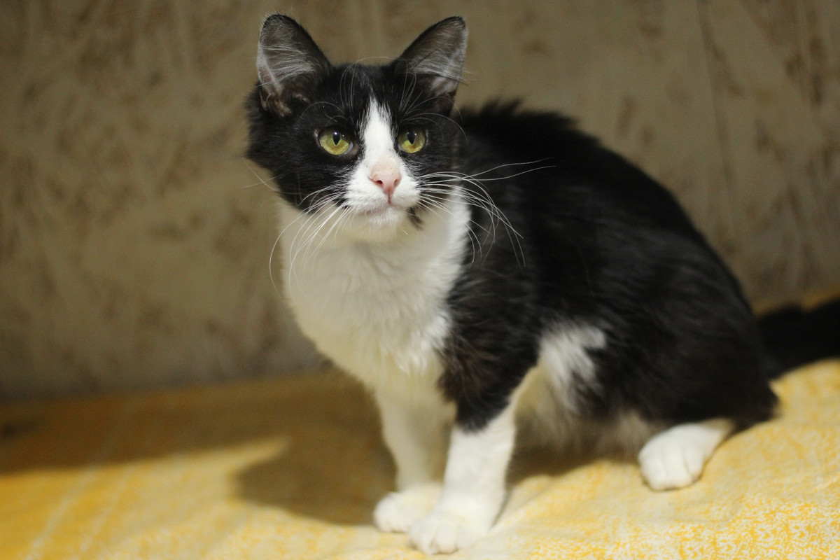 IMG_7226 — копия