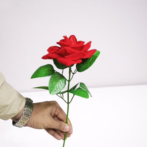 valentines day Gift Rose Flower