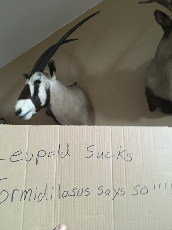 7705C035-DA2B-411E-B5AC-FA82B5B4053A