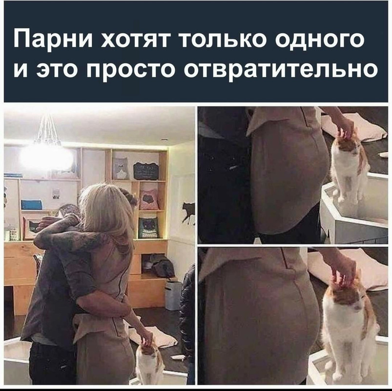 парни хотят