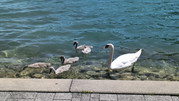 IMG-20260602-120742733-HDR-(2)
