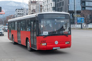 IMG-7982