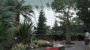 Flower Dome 07