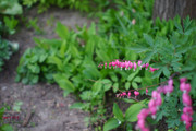 DSC00441
