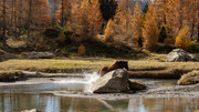 PA293101-2