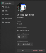 scammer 1 whatsap with fake usa number