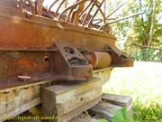 DSCN7586