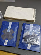 PXL_20241019_160351379.PORTRAIT