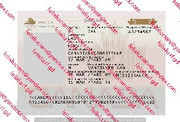 Canada Passport_cleaned