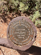 IMG-1269