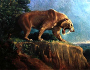Mountain-Sabercat2