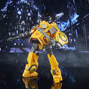 SS-WFC-Bumblebee-02
