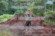 IMG-6627