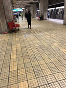 53046740_382039659281806_5636601116608167936_n_382039655948473