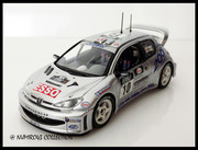 2000 05 Peugeot #10 Panizzi Tour de Corse