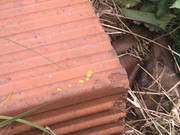 F2AA318A-F7A2-477A-8A54-003D42D4D217