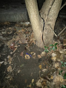 A1AF5402-001B-4A8C-8ECA-8CAEA3FC3A8A