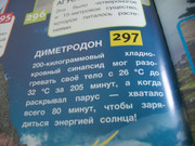 https://i.postimg.cc/0zTd6xJp/100-8111.jpg
