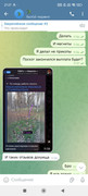 IMG-20250107-213251-299