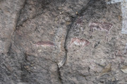 IMG-0723