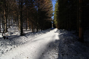 IMG-1808x