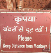 BBG&B36AgraNTajMahal - 2