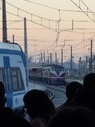 IMG_20250719_081036661_HDR