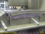 IMG-3731