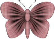 TWFlowerbee-Butterfly1