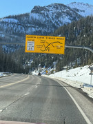 [Image: IMG-7205.jpg]